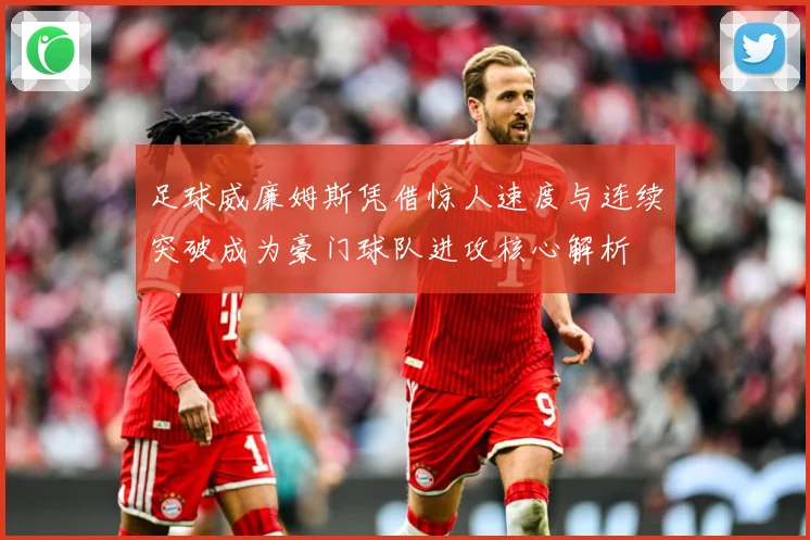 足球威廉姆斯凭借惊人速度与连续突破成为豪门球队进攻核心解析
