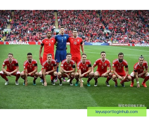 世界杯竞猜赔率深度解析及热门球队胜负趋势全面预测